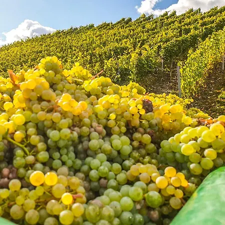 Moselhaus Weiskopf Hotel Bernkastel-Kues