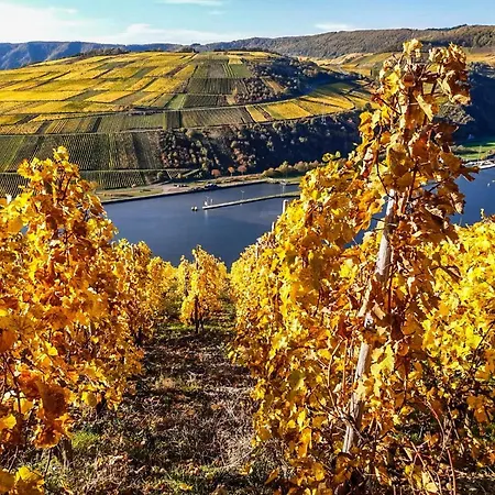 Moselhaus Weiskopf Hotel