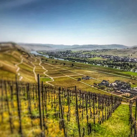 Moselhaus Weiskopf Bernkastel-Kues