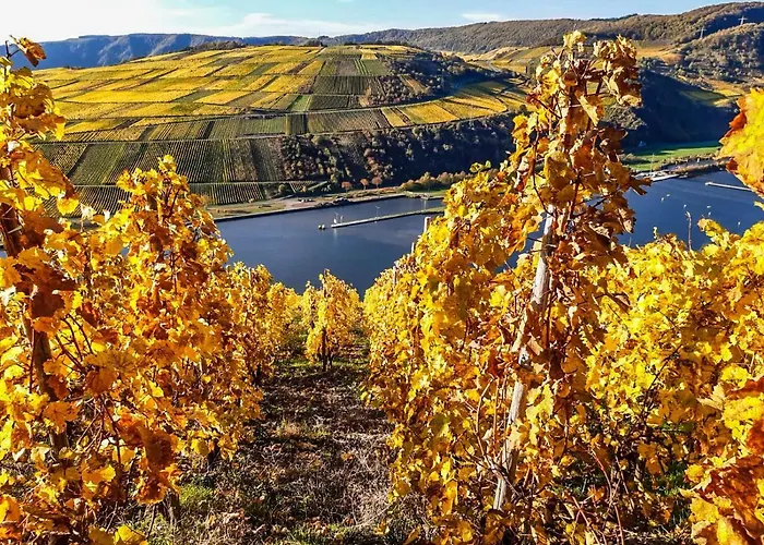 Moselhaus Weiskopf 'selfcheckin'offsitebreakfast'cityparking' ホテル