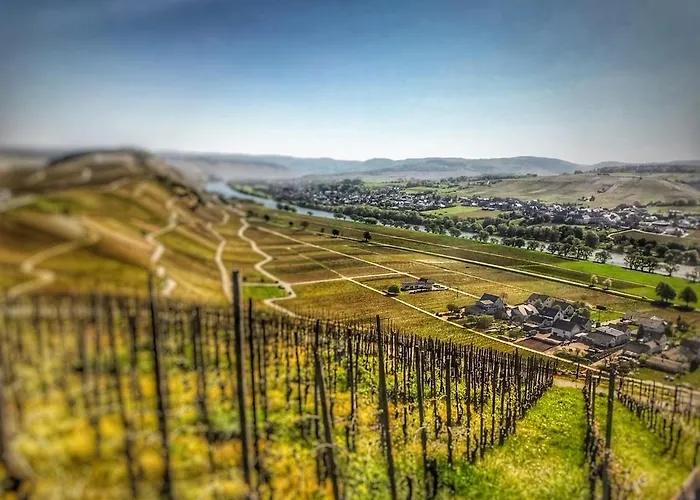 Moselhaus Weiskopf 'selfcheckin'offsitebreakfast'cityparking' ברנקסטל - קיס